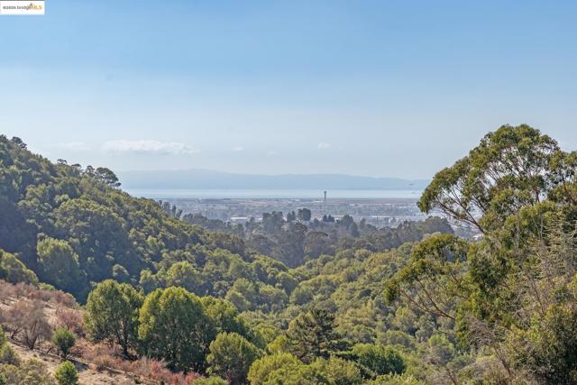 MLS #41115093 image #24