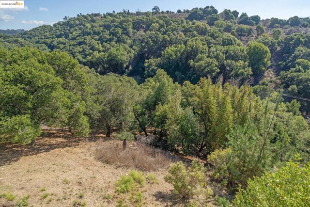 MLS #41115093 image #25