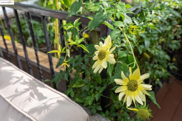 MLS #41115129 image #45