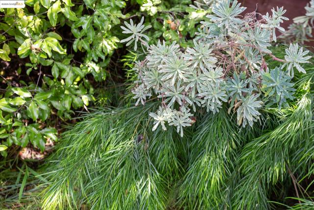 MLS #41115129 image #51