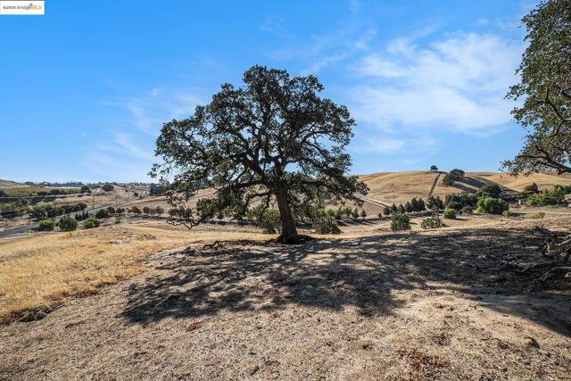 MLS #41115267 image #40