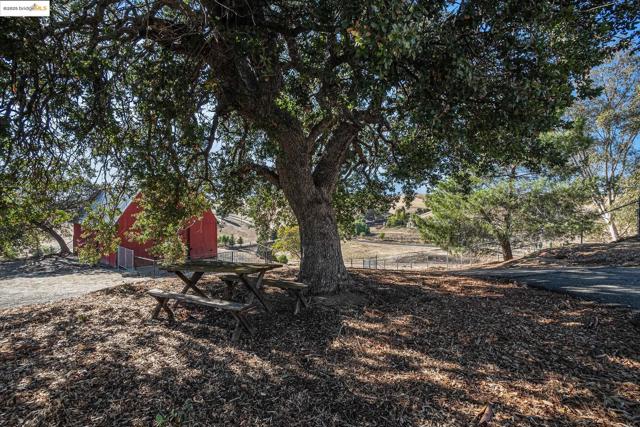 MLS #41115267 image #9