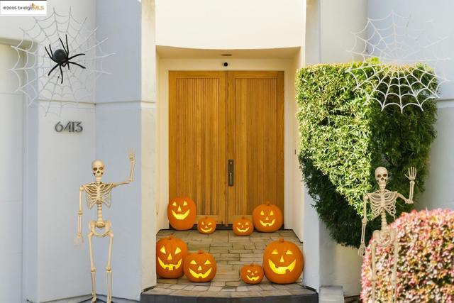 MLS #41116301 image #1