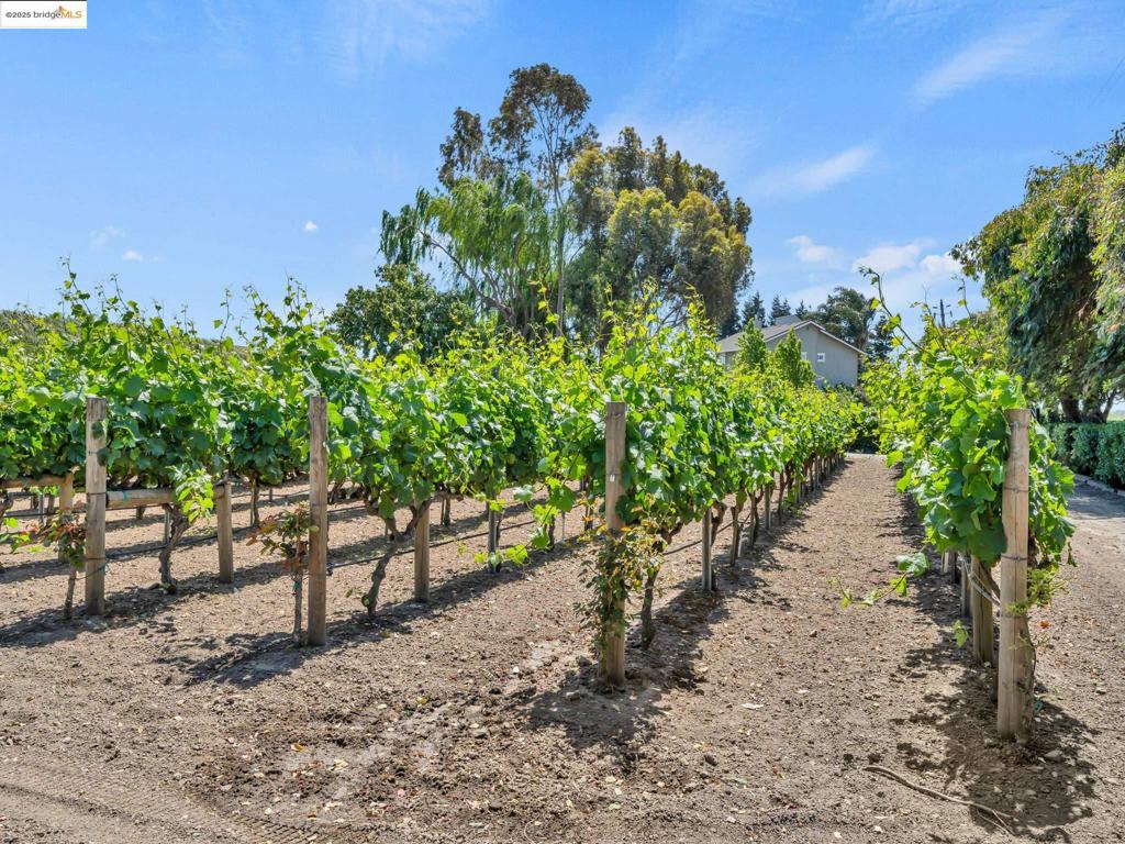 MLS #41116508 image #40