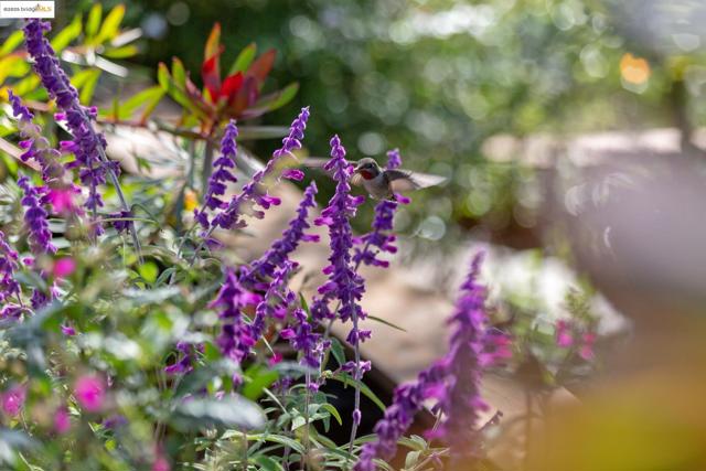 MLS #41116985 image #35