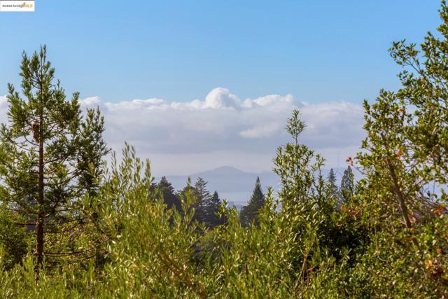 MLS #41116985 image #8