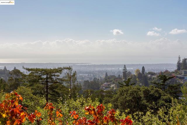 MLS #41116985 image #9