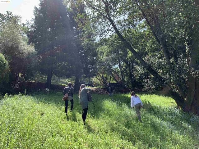 MLS #41118172 image #5