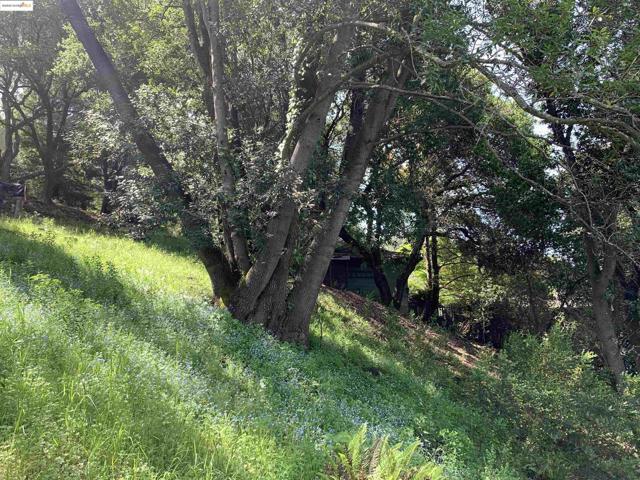 MLS #41118172 image #6