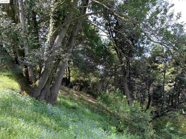 MLS #41118172 image #7