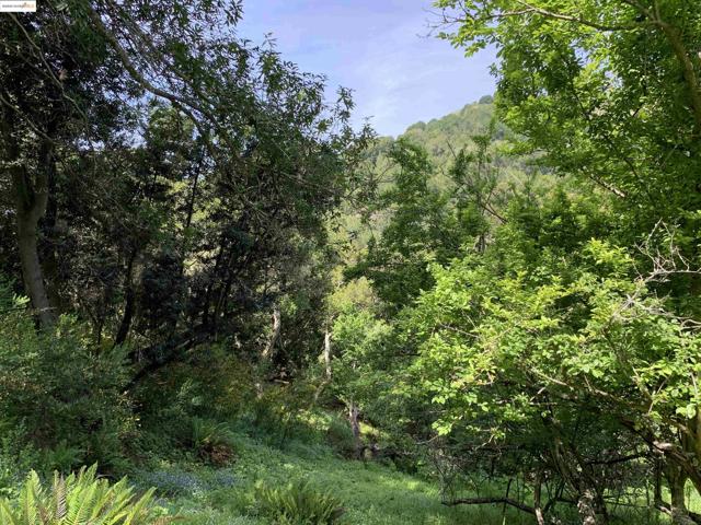 MLS #41118172 image #8