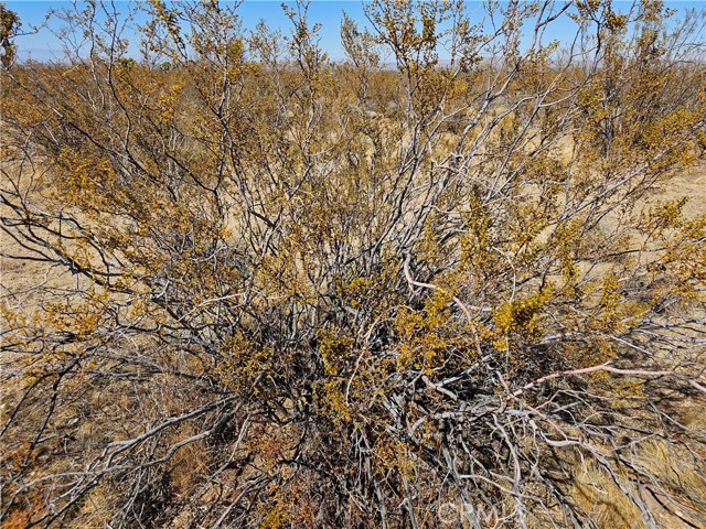 MLS #AR25060984 image #1