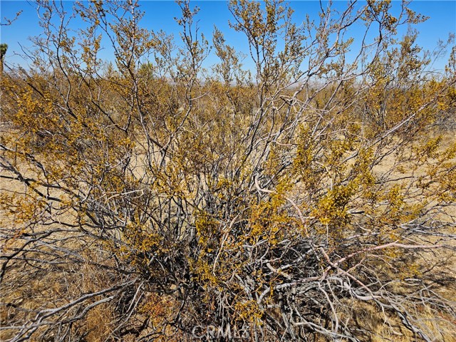 MLS #AR25060984 image #2