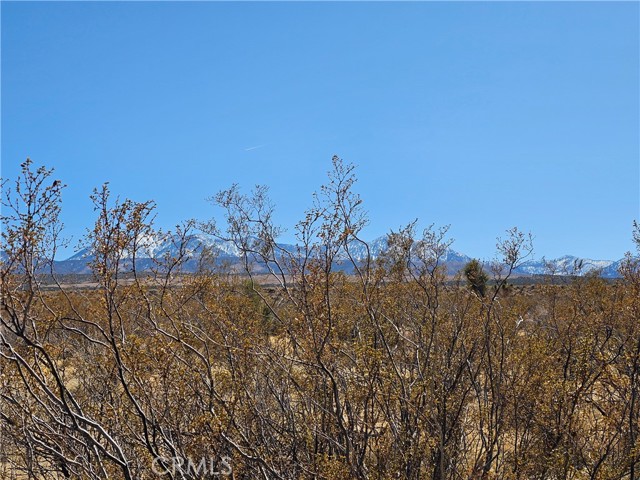 MLS #AR25060984 image #4