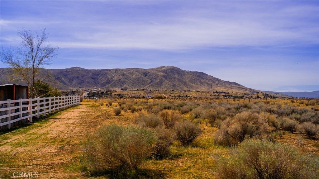 MLS #AR25063054 image #3