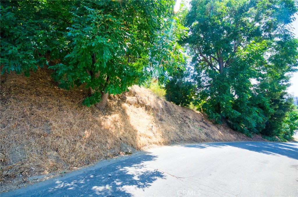 MLS #AR25143824 image #10