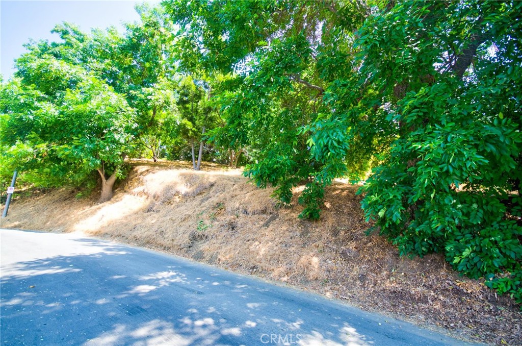 MLS #AR25143824 image #19