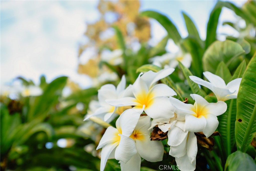 MLS #AR25162499 image #22