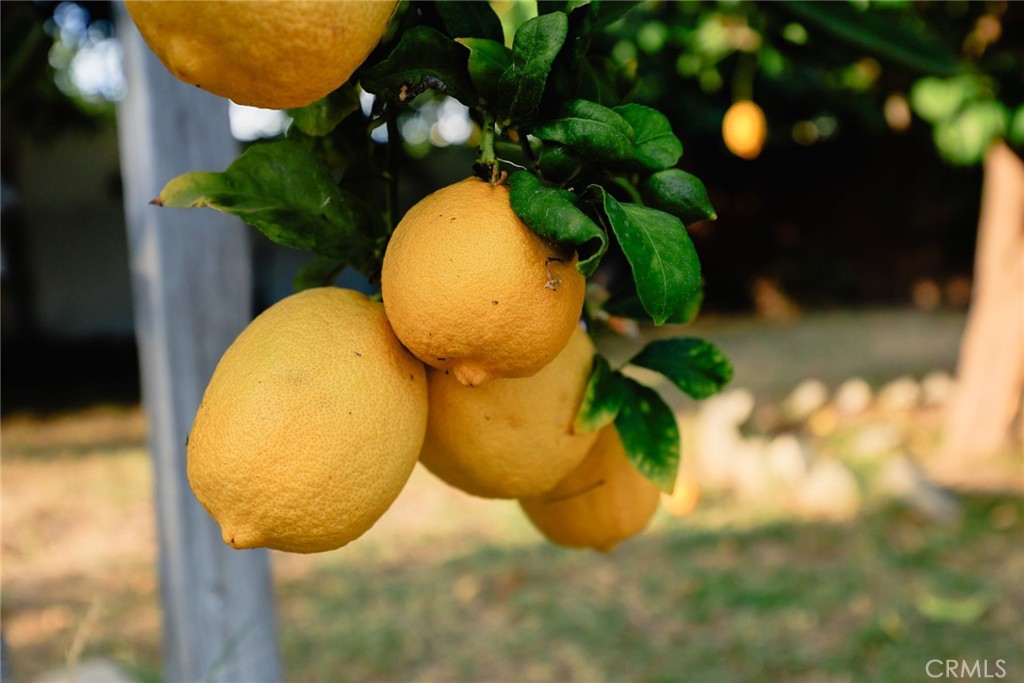 MLS #AR25162499 image #23