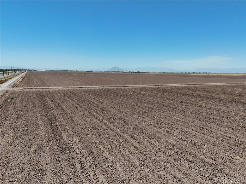 MLS #AR25175286 image #10