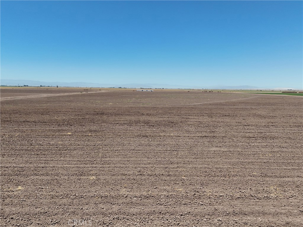 MLS #AR25175286 image #11