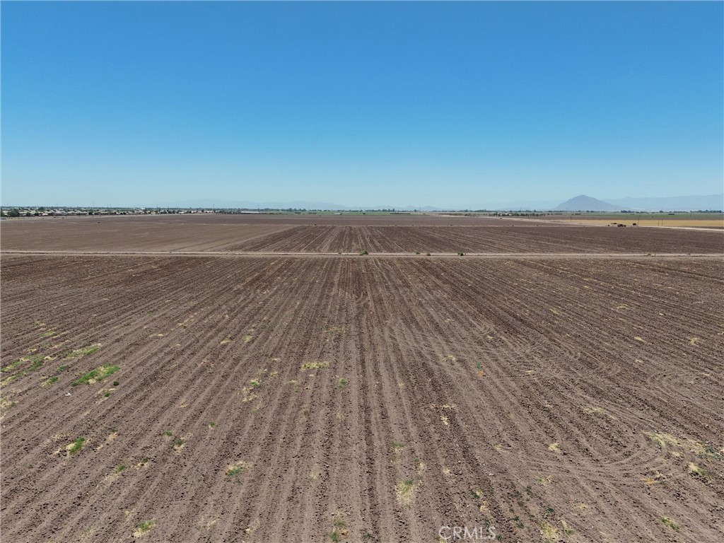 MLS #AR25175286 image #12