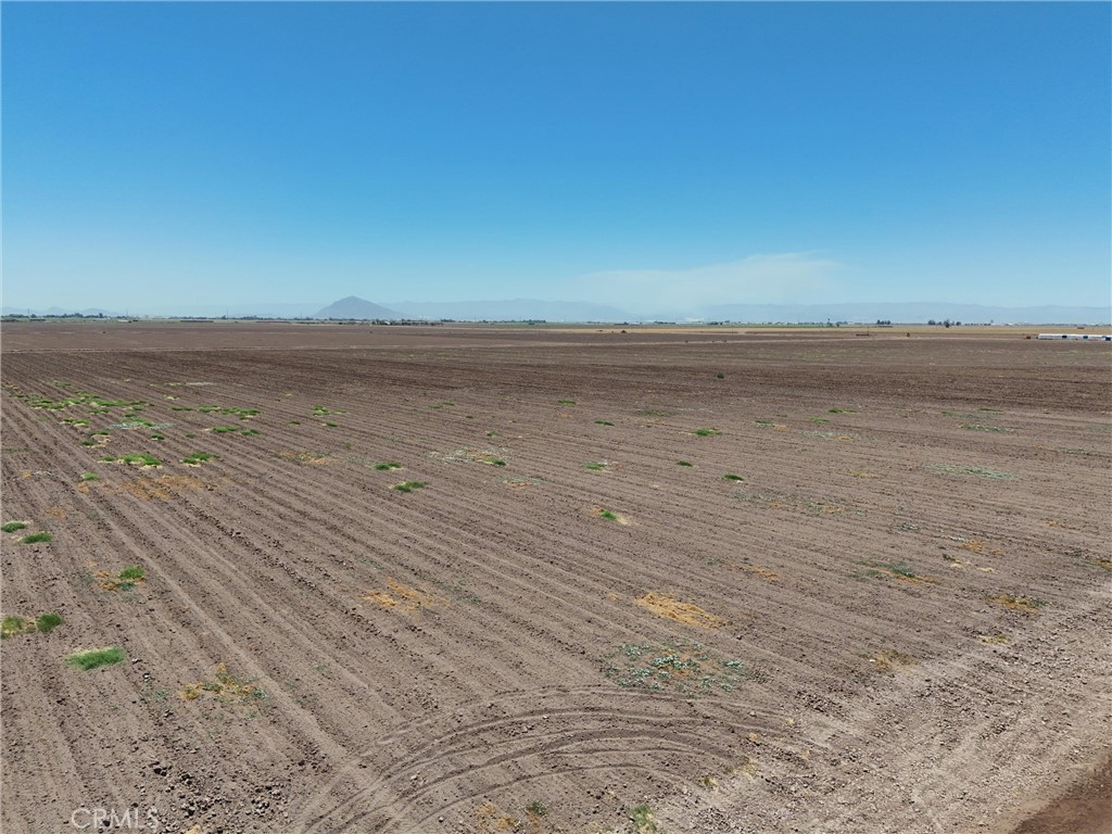 MLS #AR25175286 image #7