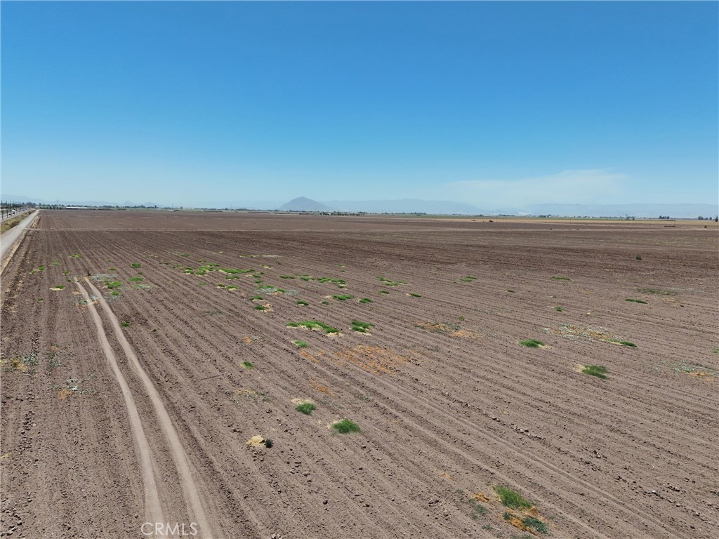 MLS #AR25175286 image #9