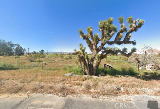 MLS #AR25177073 image #0