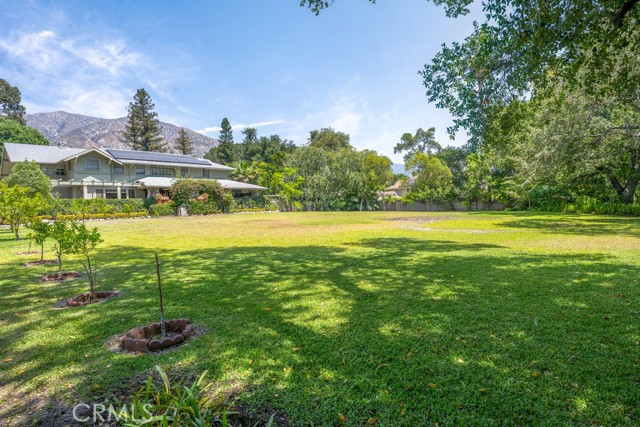 MLS #AR25218892 image #3