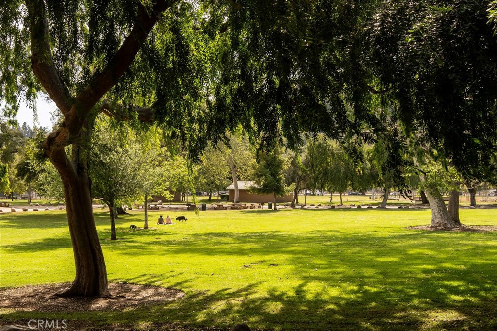 MLS #AR25219266 image #57