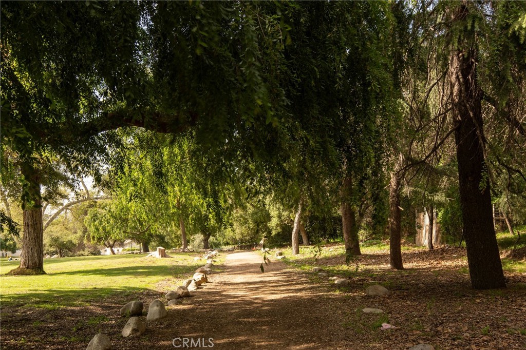 MLS #AR25219266 image #58