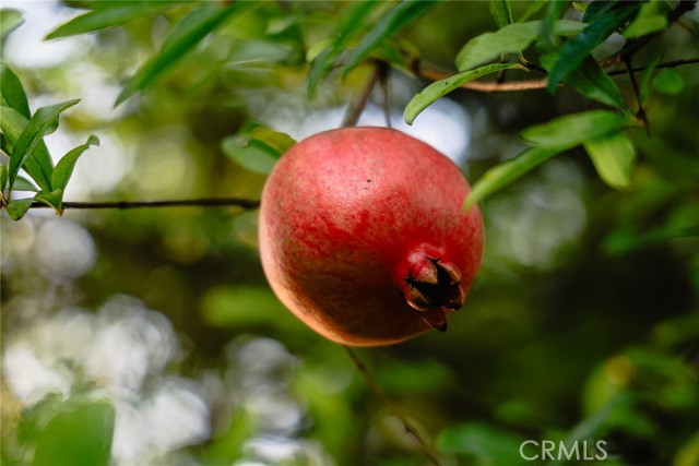 MLS #AR25234305 image #71