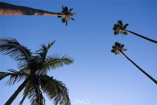 MLS #AR25234305 image #72