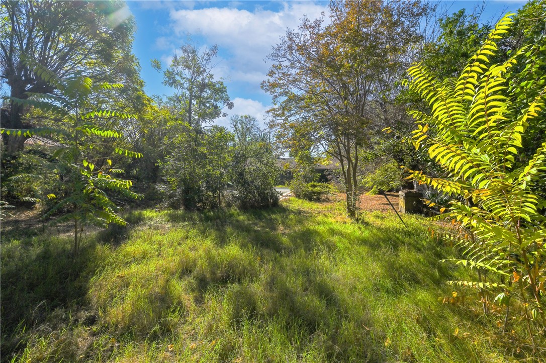 MLS #AR25247941 image #13