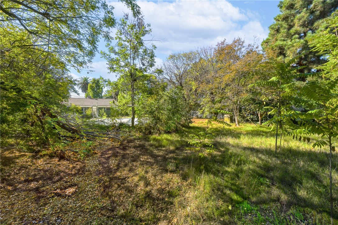 MLS #AR25247941 image #14