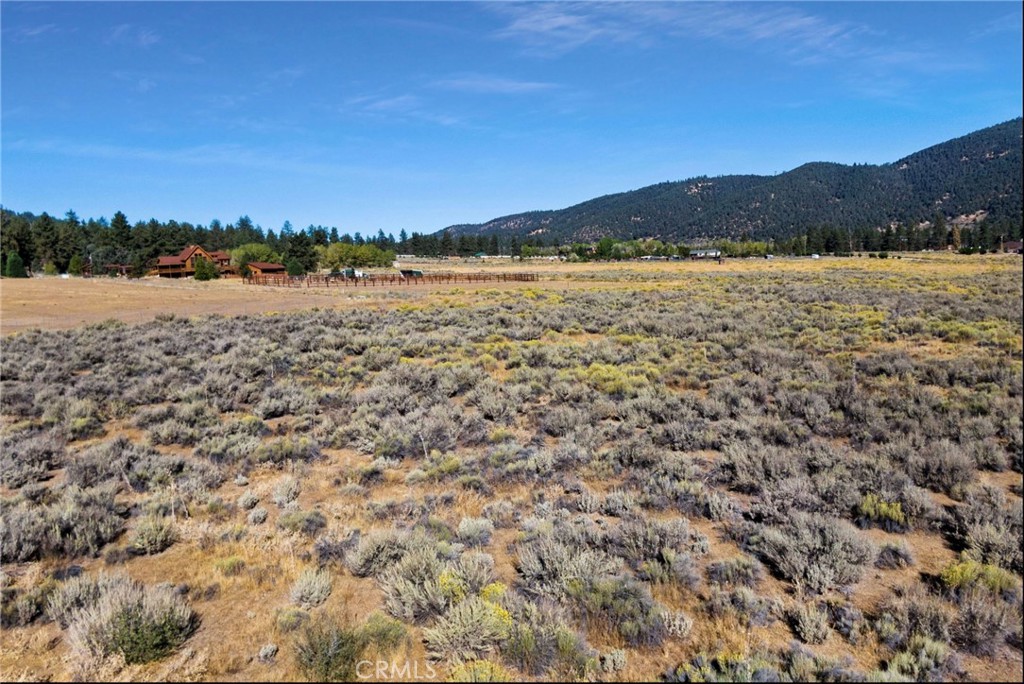 MLS #AR25253908 image #1