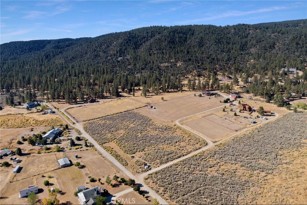 MLS #AR25253908 image #4