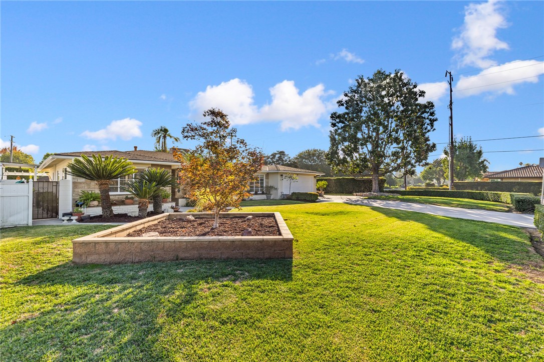 MLS #AR25254527 image #7