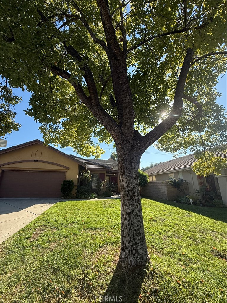 MLS #AR25255587 image #25