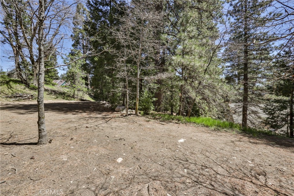 MLS #AR25273181 image #41