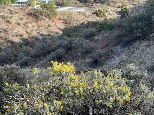 MLS #BB23229948 image #12