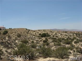 MLS #BB25002052 image #2