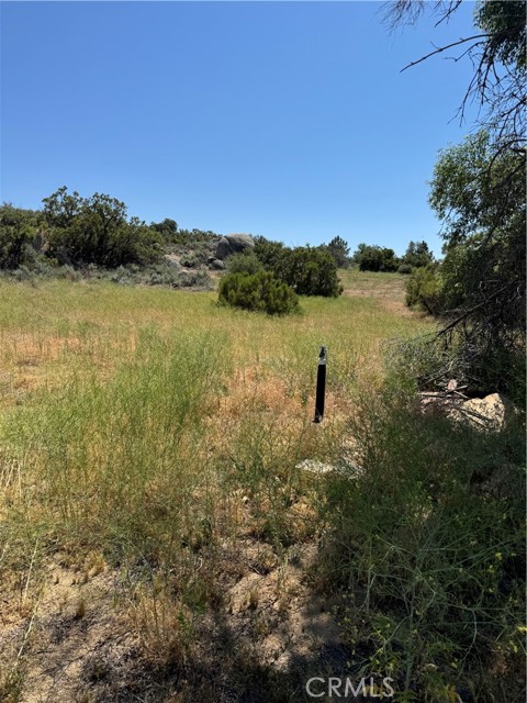 MLS #BB25138371 image #15