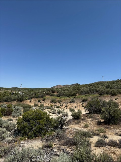 MLS #BB25138371 image #18