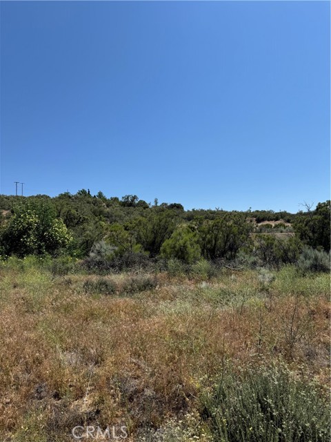 MLS #BB25138371 image #3