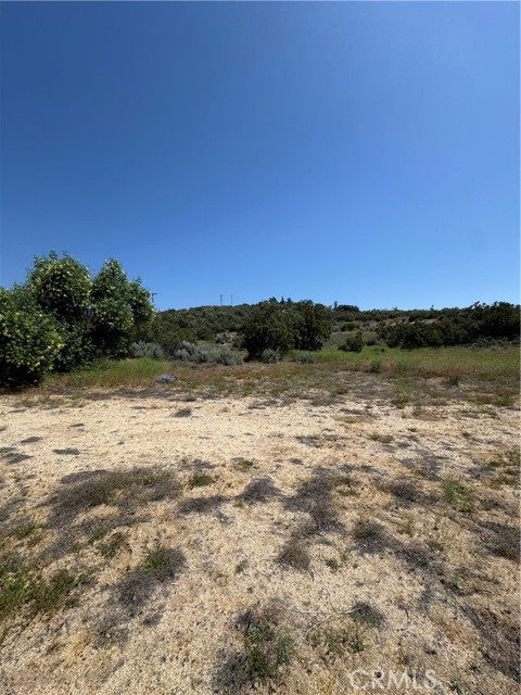 MLS #BB25138371 image #6