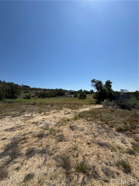 MLS #BB25138371 image #8