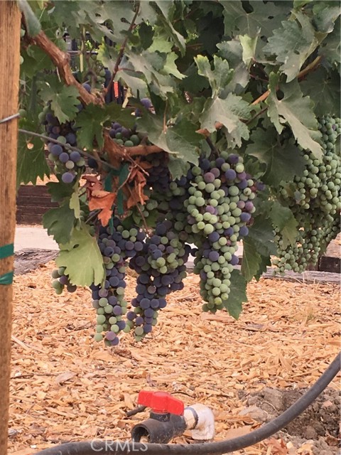 MLS #BB25170557 image #63