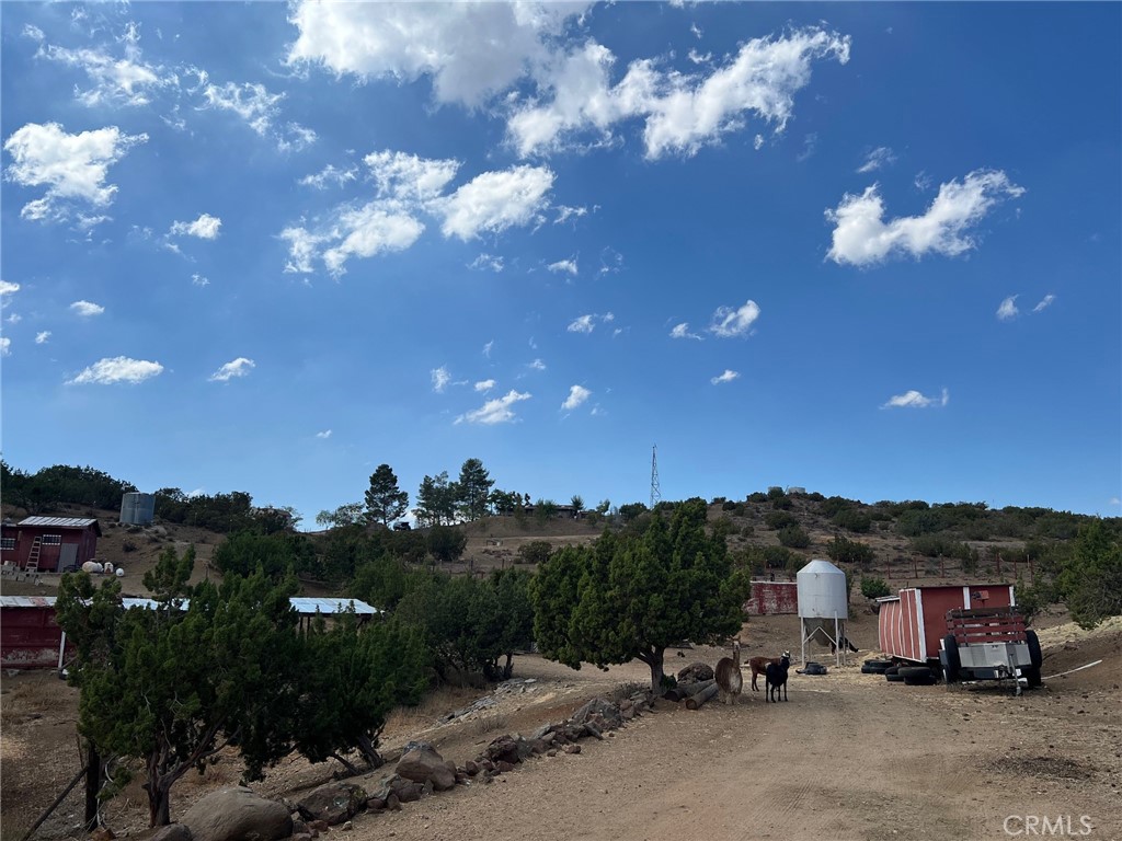 MLS #BB25220261 image #13